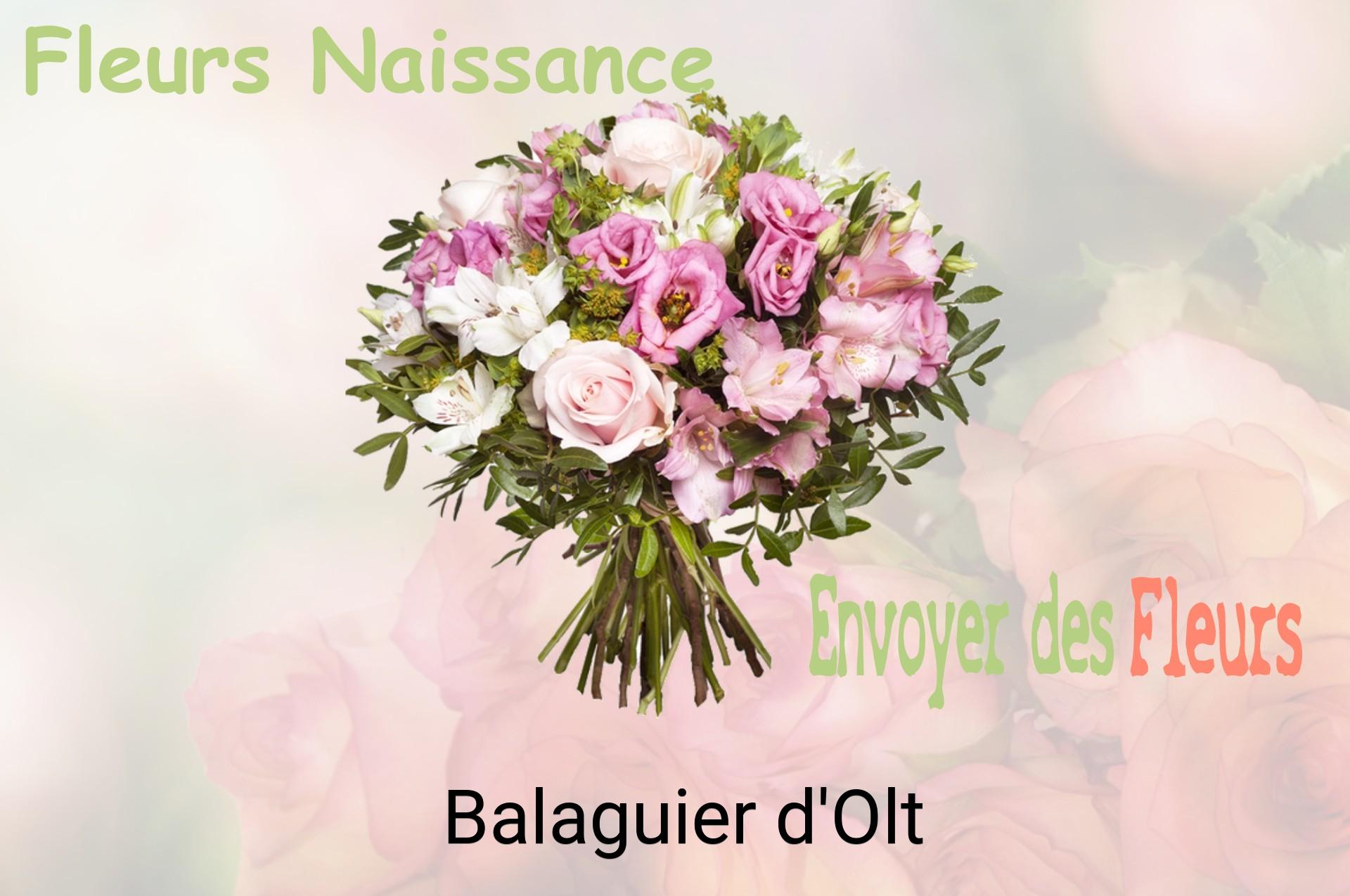 Bouquet de fleurs de naissance livré à Balaguier-d'Olt
